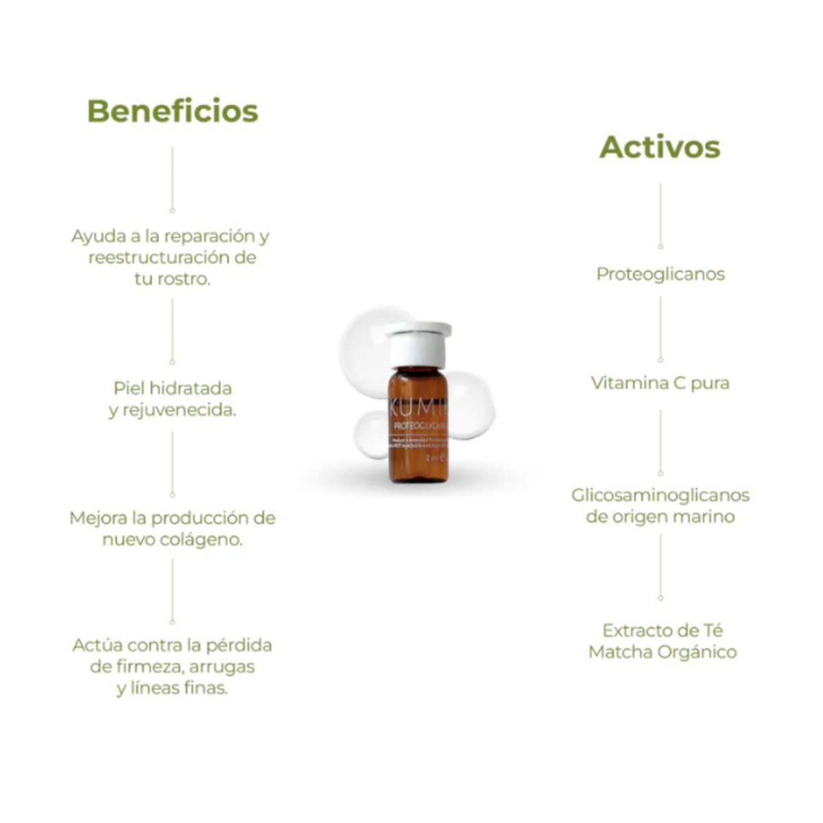 MATCHA INTENSE RECOVERY PROTEOGLYCANS PLUS - Suero Concentrado Antiedad