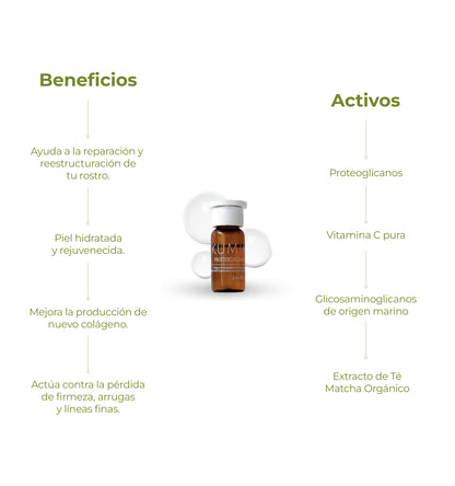 MATCHA INTENSE RECOVERY PROTEOGLYCANS PLUS - Suero Concentrado Antiedad   | Nuevo Formato 5 unidades